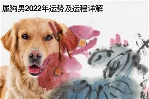 2024狗年運程1982|属狗2024年运程及运势详解 2024年属狗人全年每月运。